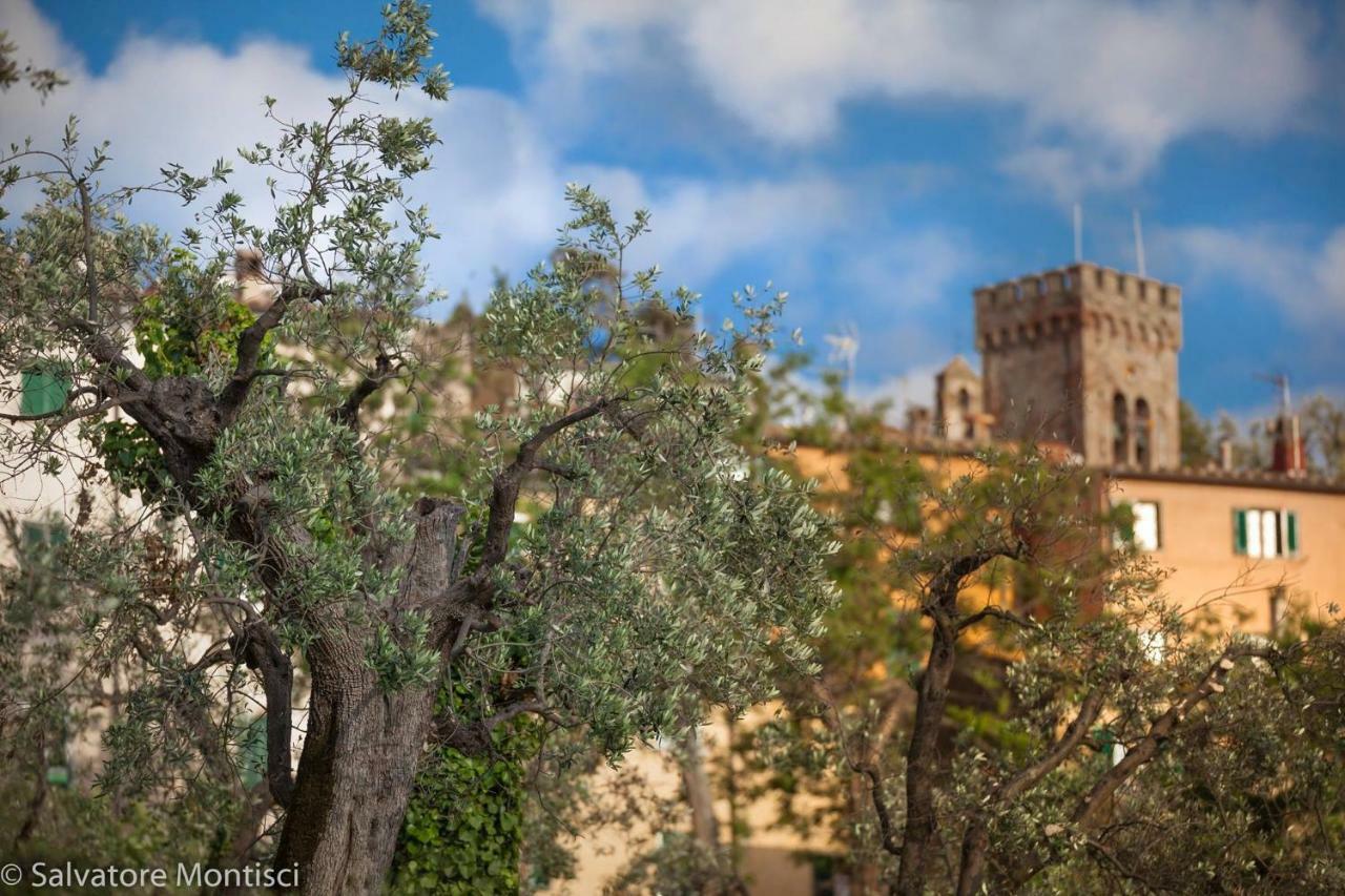 Acacia Casetta Con Giardino Donoratico Buitenkant foto